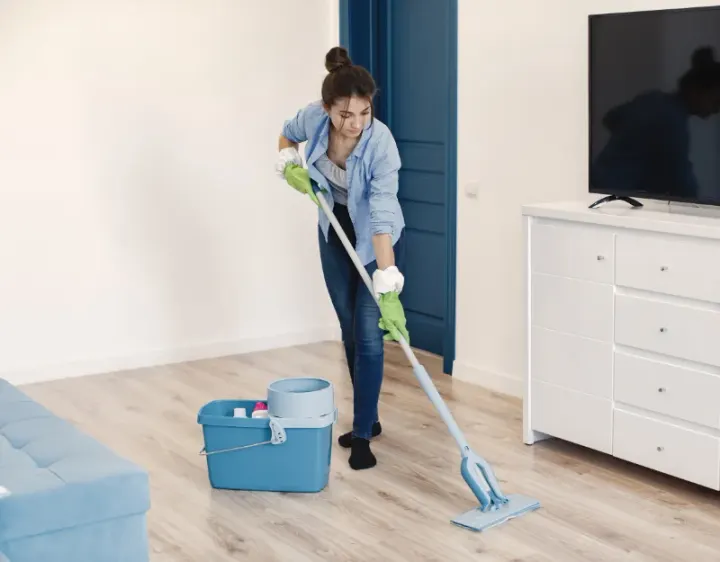 Femme de ménage Carbonne